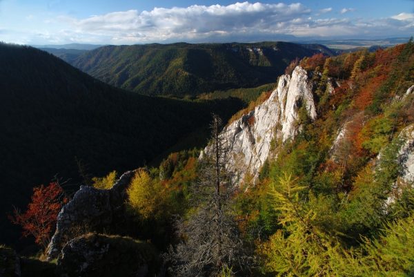 Mountains with trees and valley in Slovak Paradise National Park